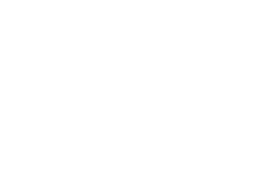 CoreLeoni