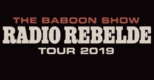 Poster of the event The Baboon Show 2019 at KIFF, Aarau