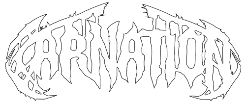 Carnation