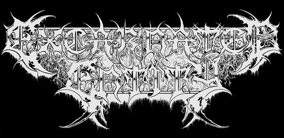 Excarnated Entity