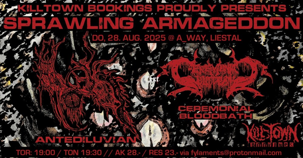 Poster from the event